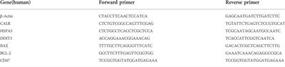 Immunogenic cell death mediation patterns reveal novel paradigm for characterizing the immune microenvironment and immunotherapeutic responses in bladder cancer